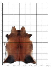 Įkelti vaizdą į galerijos rodinį, Rudas karvės kailis L
