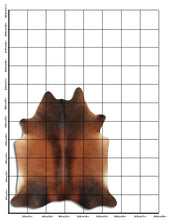 Augšupielādēt attēlu galerijas skatā, Brūna govs āda L
