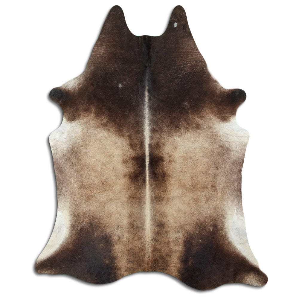 Šampanieša govs āda XL