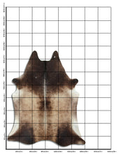 Augšupielādēt attēlu galerijas skatā, Šampanieša govs āda XL
