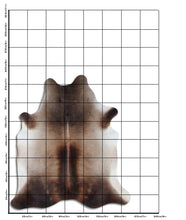 Įkelti vaizdą į galerijos rodinį, Rudas karvės kailis XL
