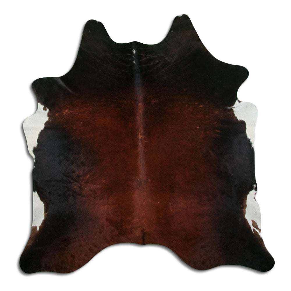 Brūna govs āda L