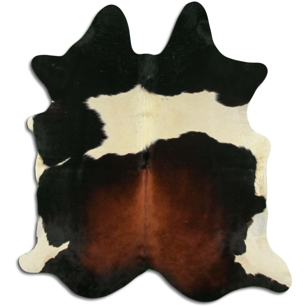 Trispalvis karvės kailis L