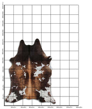 Augšupielādēt attēlu galerijas skatā, Brūna govs āda XL
