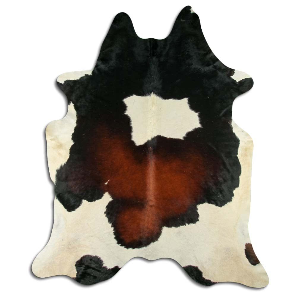 Trispalvis karvės kailis XXXL