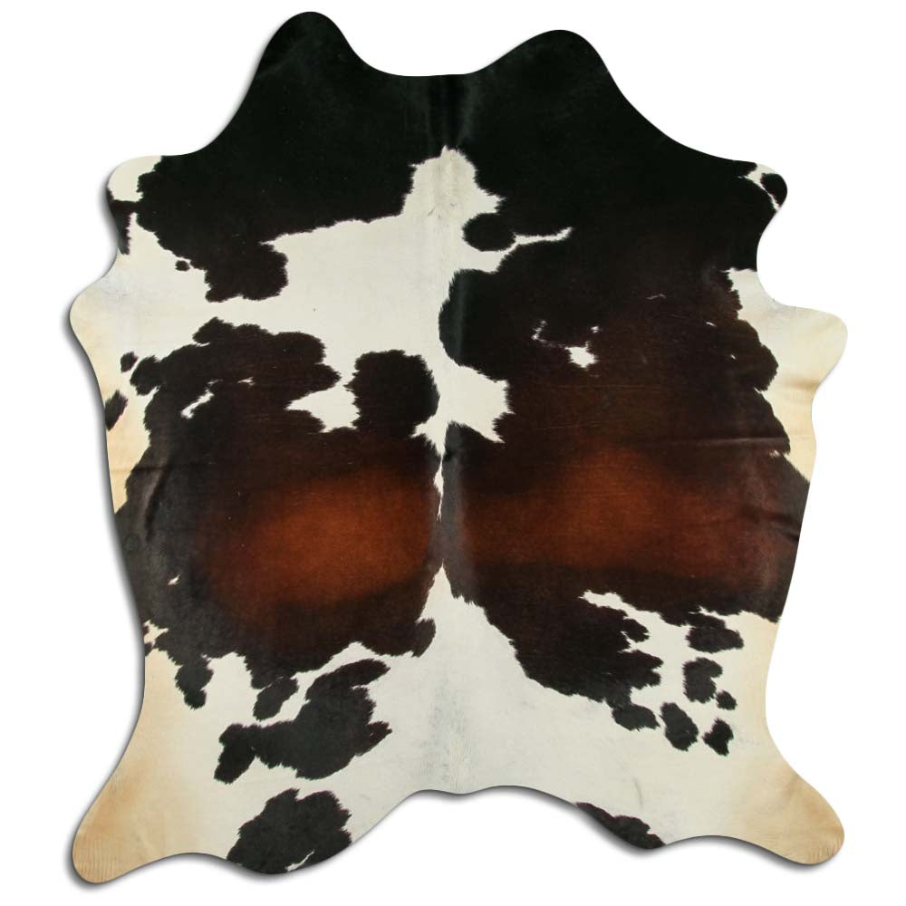 Trispalvis karvės kailis XXL