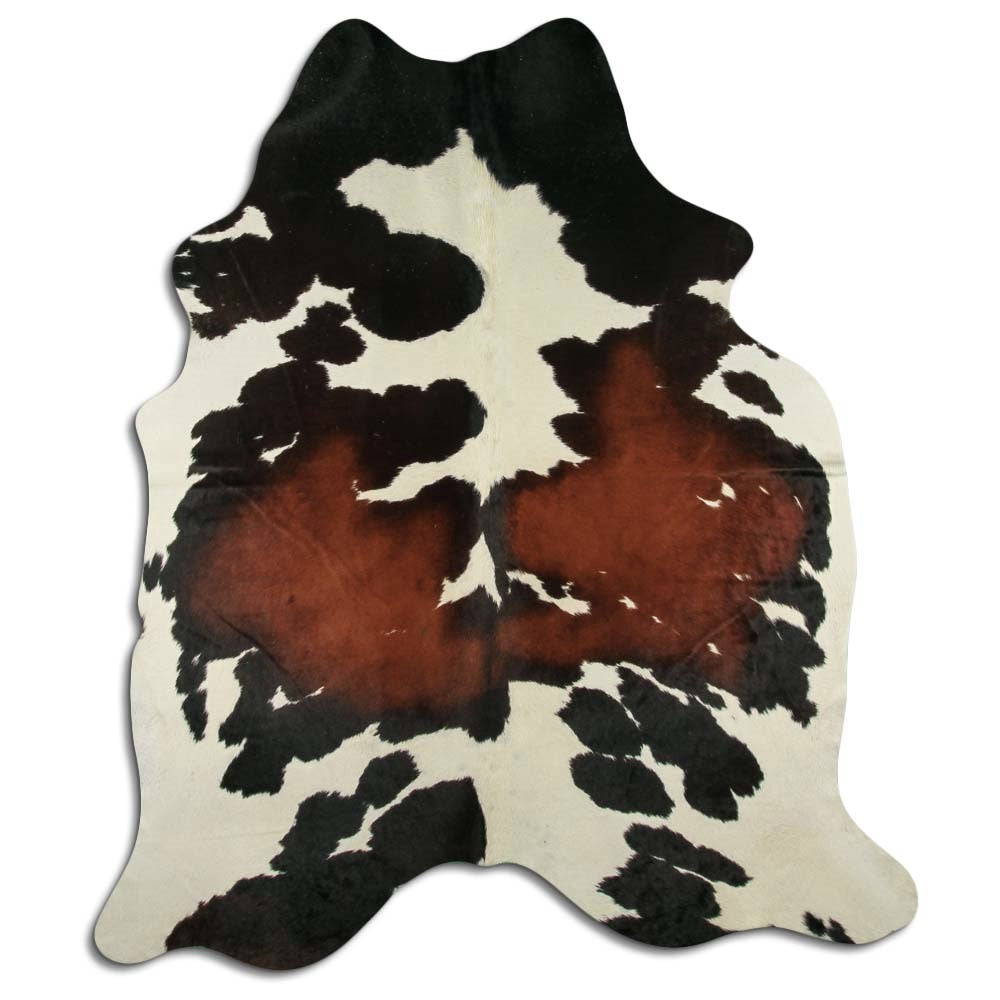 Trīskrāsu govs āda XL