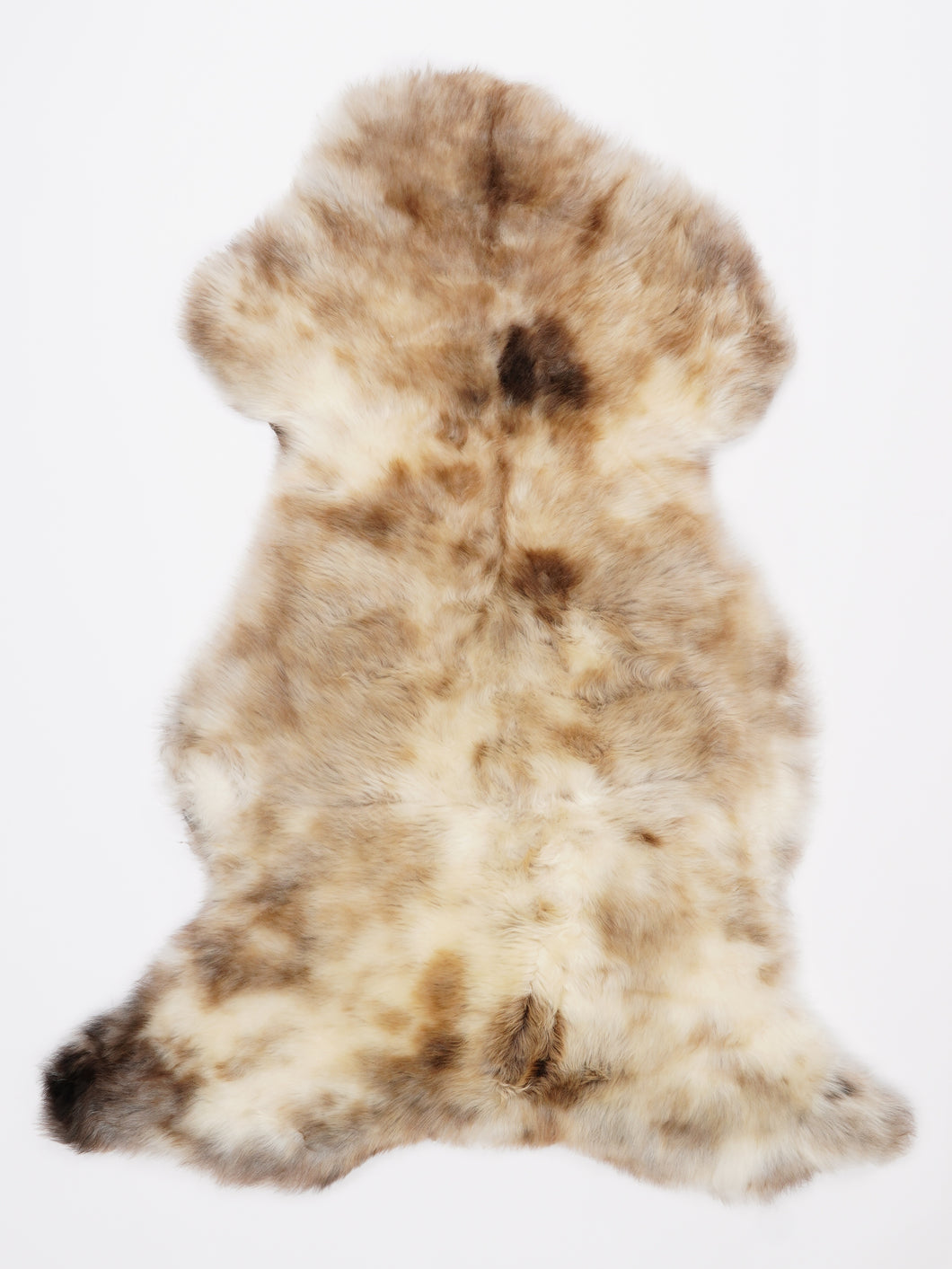 Įvairiaspalvis avikailis L