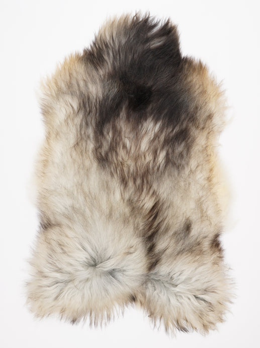 Pilkas islandiškas avikailis XXL