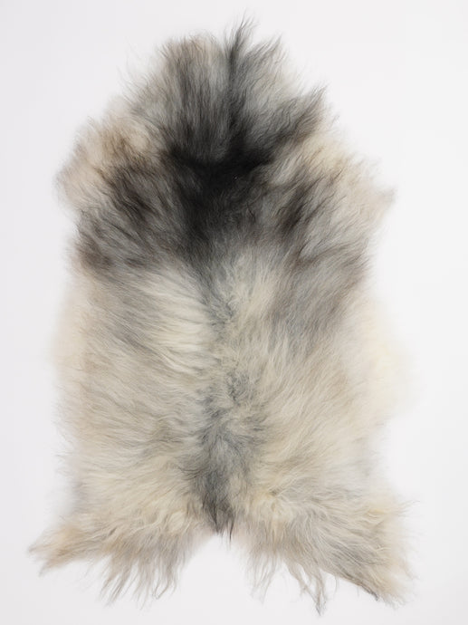 Pilkas islandiškas avikailis XL