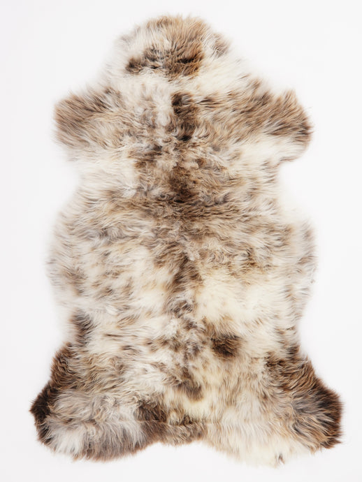 Įvairiaspalvis avikailis L