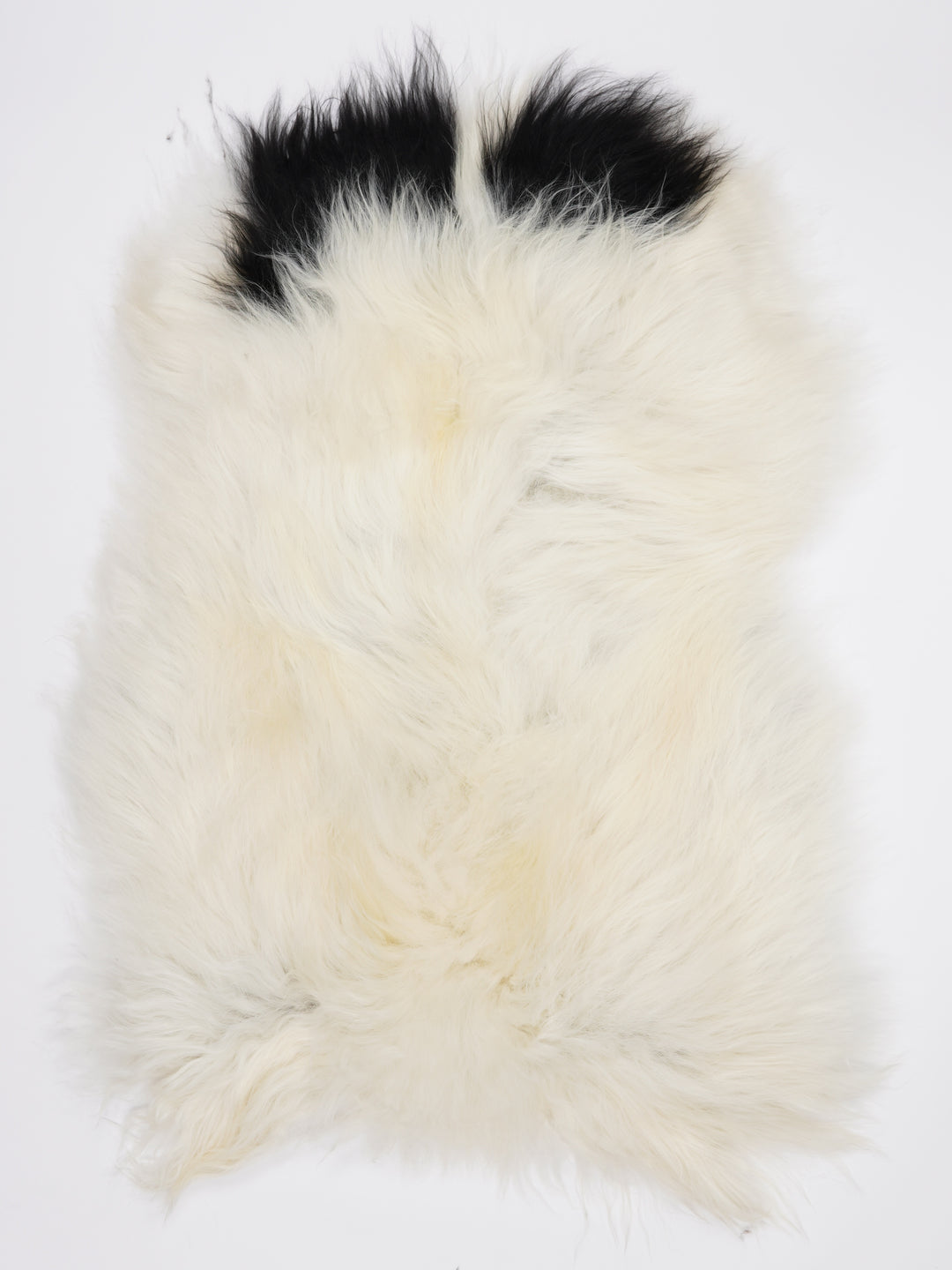 Islandiškas avikailis XL