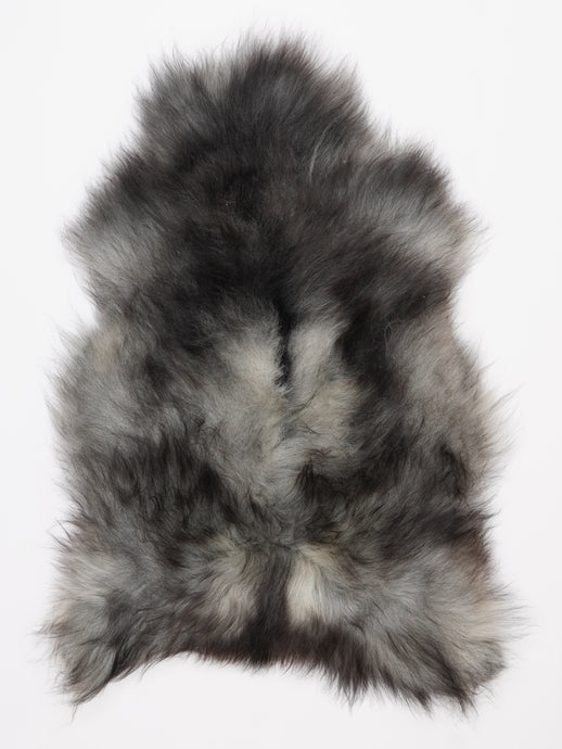 Pilkas islandiškas avikailis L