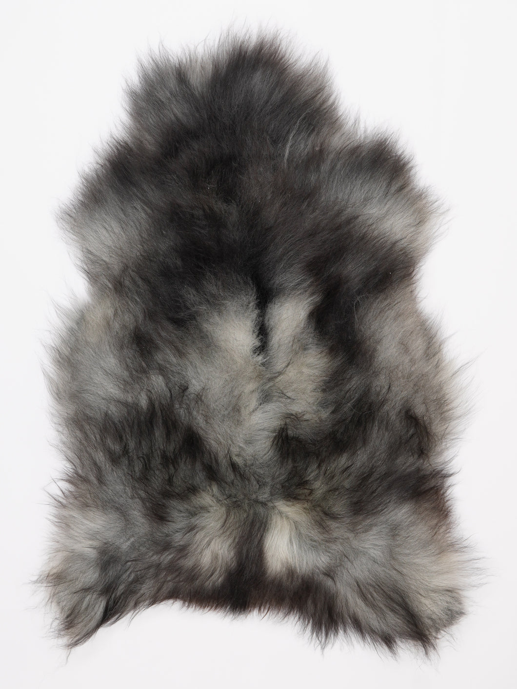 Pilkas islandiškas avikailis L