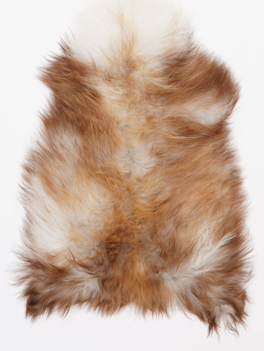 Islandiškas avikailis M