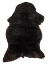 Daudzkrāsaina aitāda L