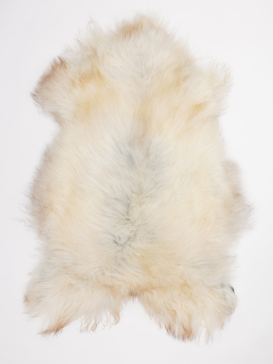 Islandiškas avikailis XL