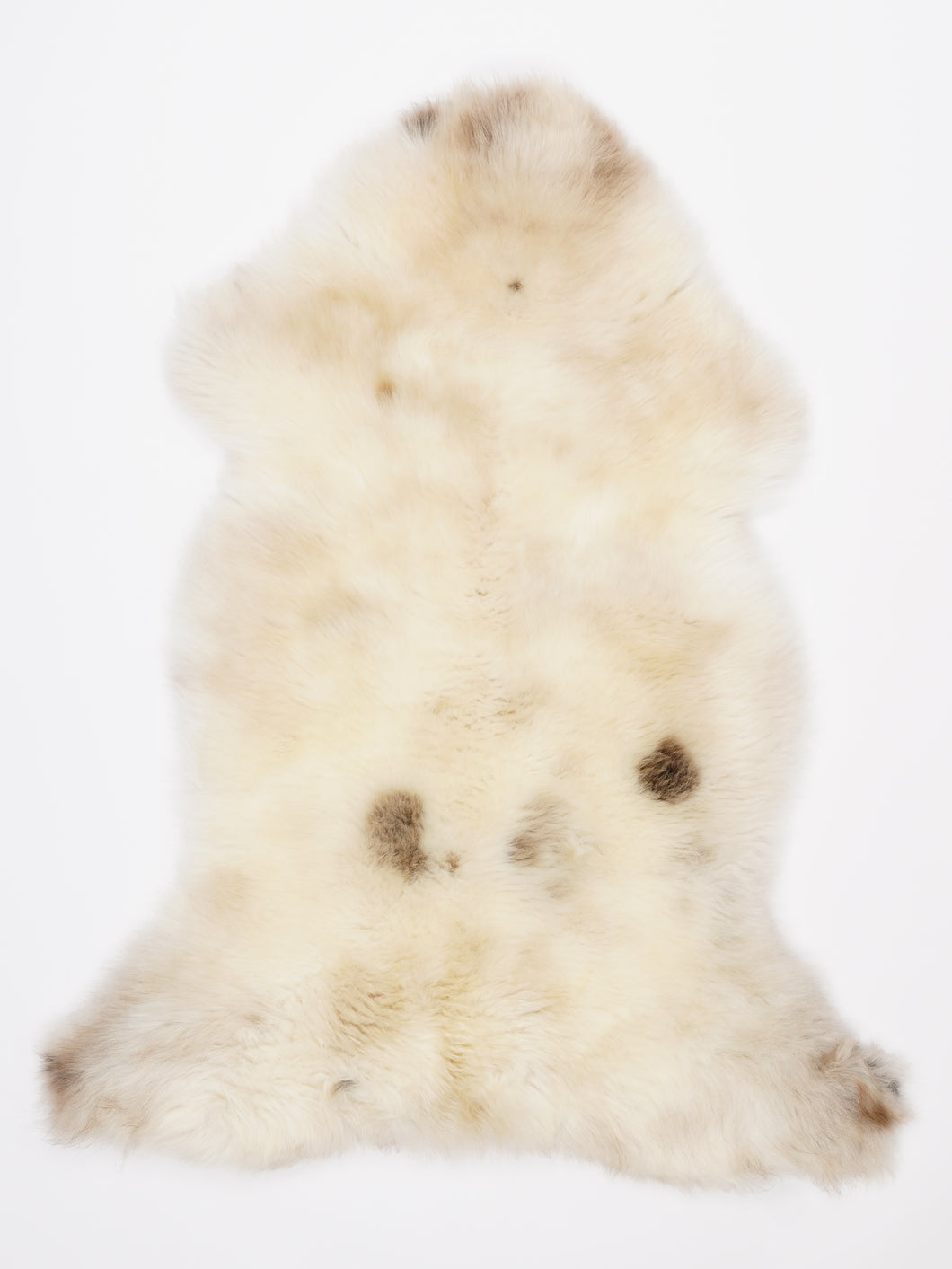 Įvairiaspalvis avikailis L