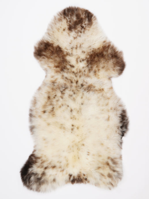 Įvairiaspalvis avikailis XL