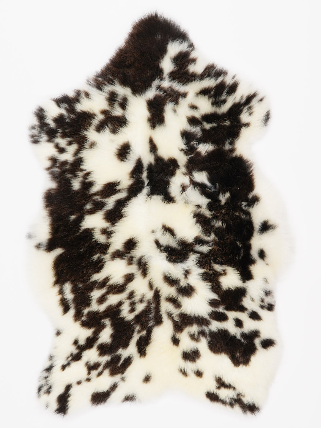 Įvairiaspalvis avikailis S