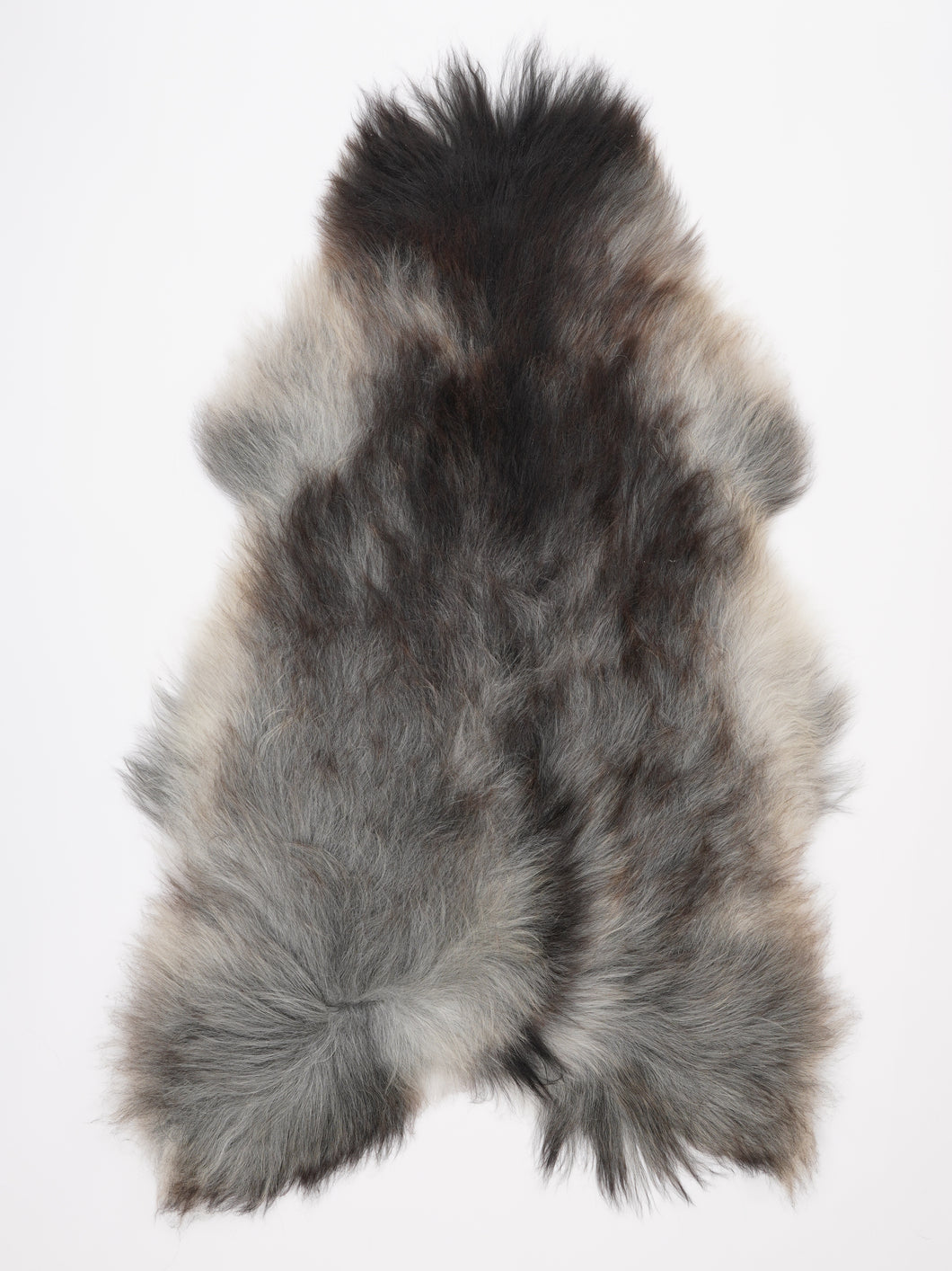 Pilkas islandiškas avikailis XXL