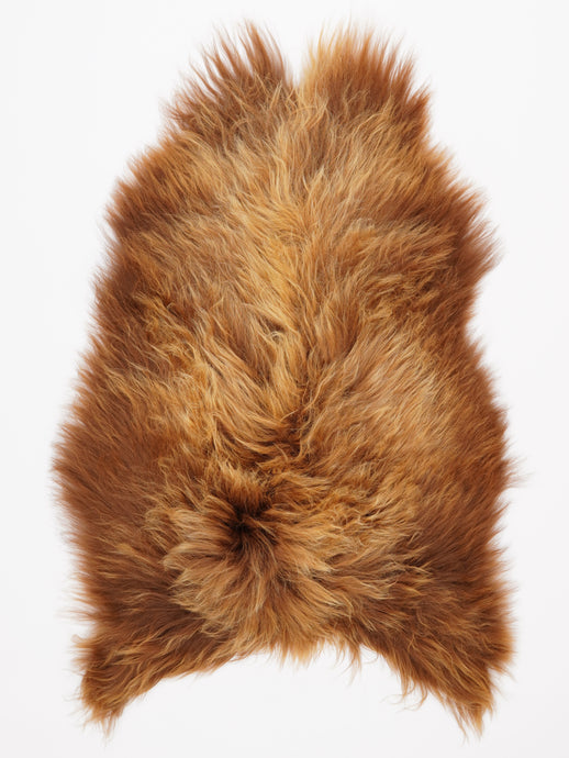 B klasės islandiškas avikailis XL