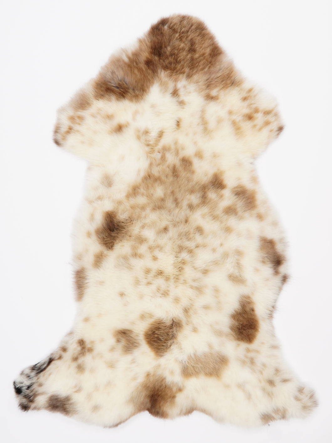 Įvairiaspalvis avikailis L