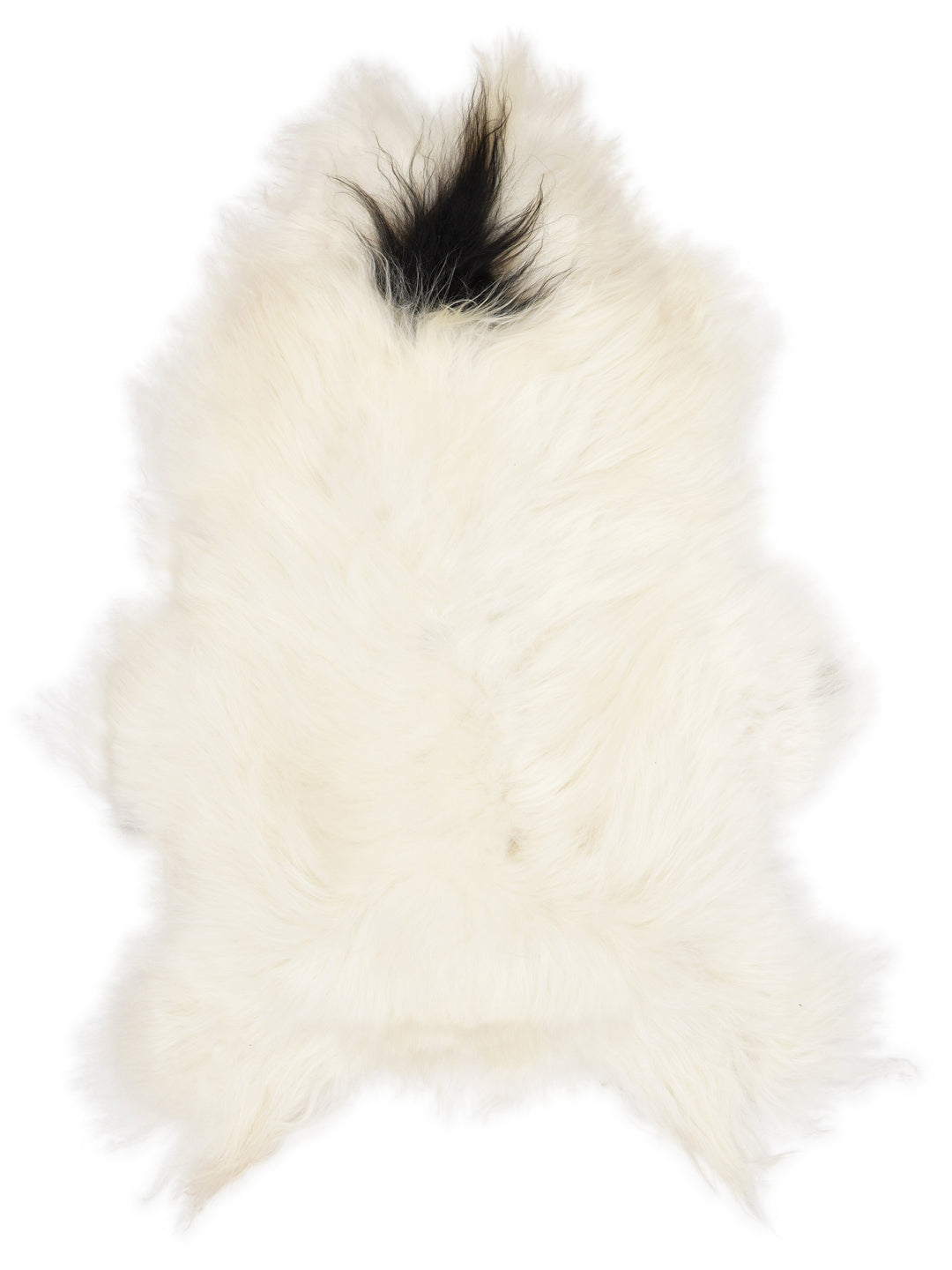 Islandiškas avikailis XL