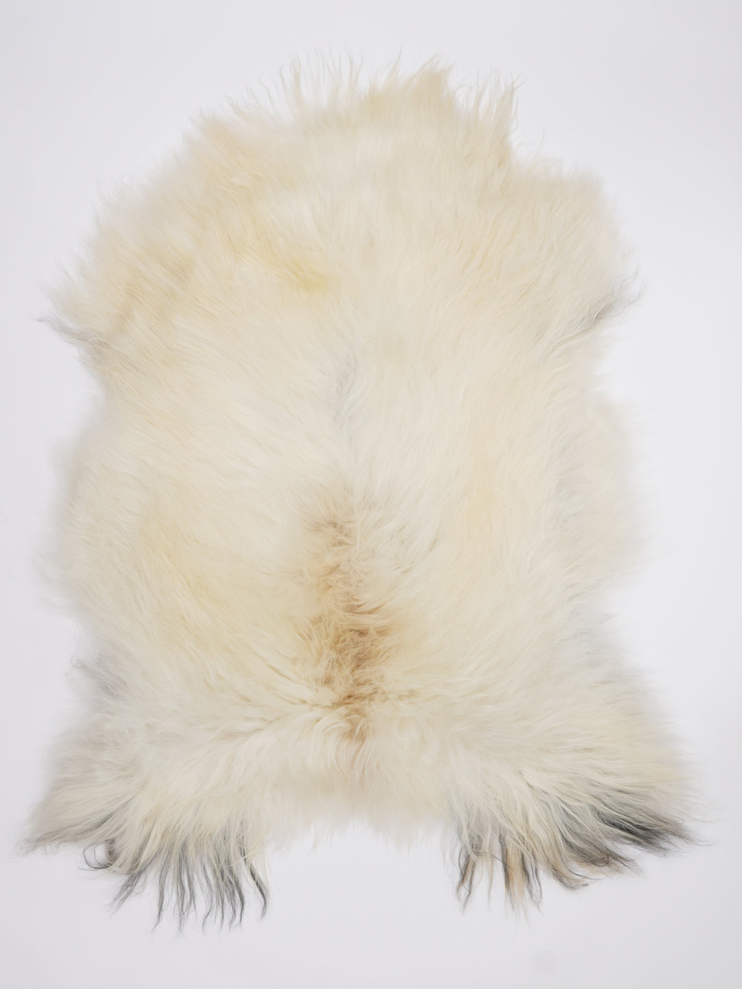 Islandiškas avikailis XL