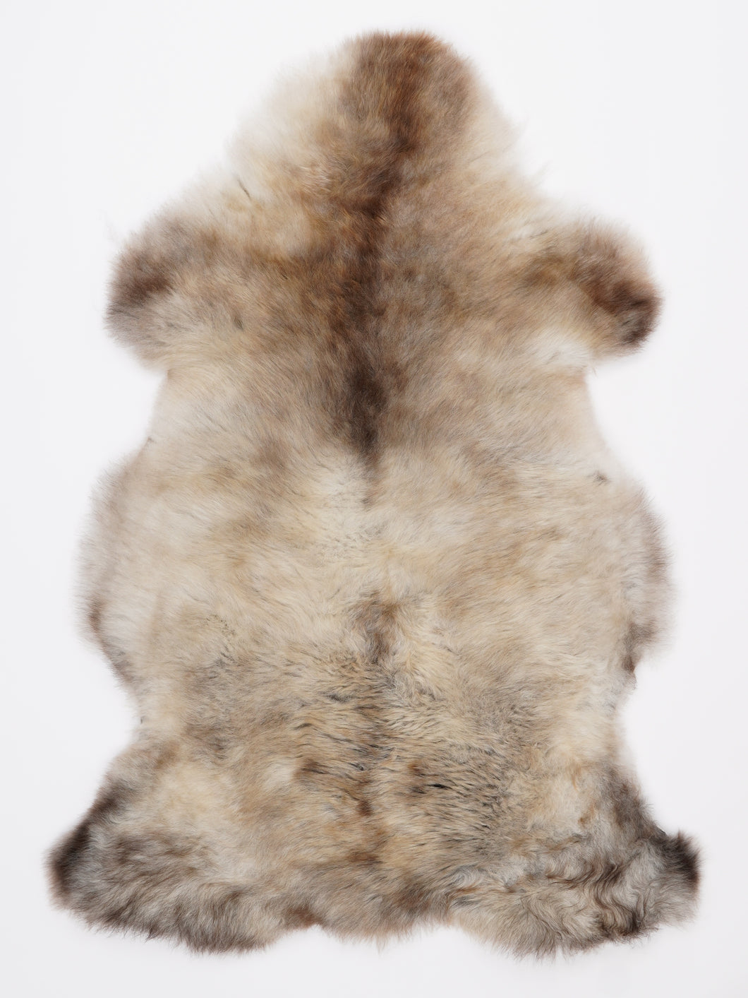 Įvairiaspalvis avikailis L