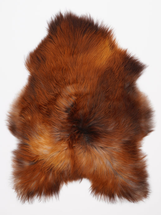 B klasės islandiškas avikailis L