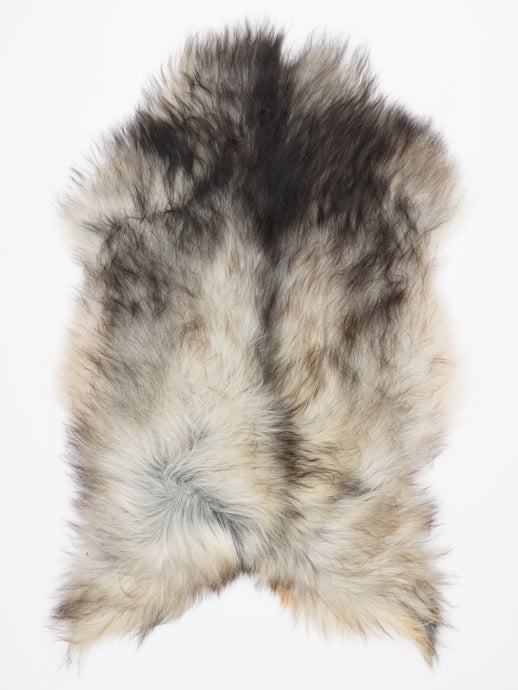 Pilkas islandiškas avikailis XL