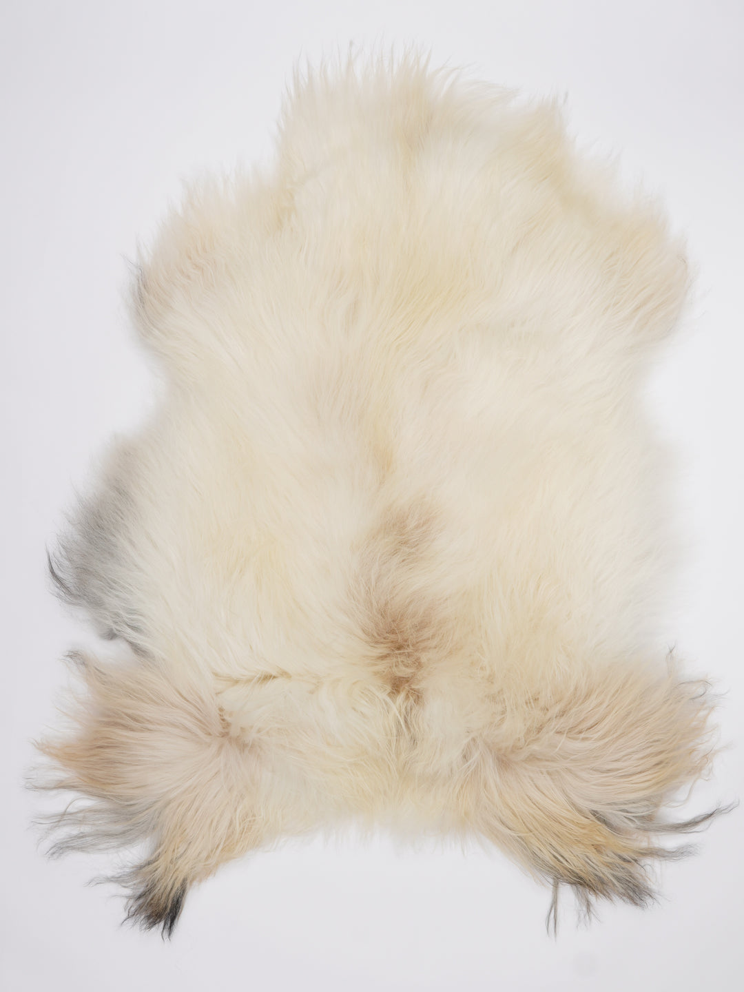 Islandiškas avikailis XL