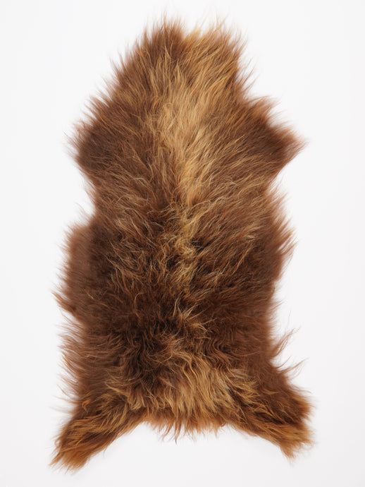 Islandiškas avikailis XXL