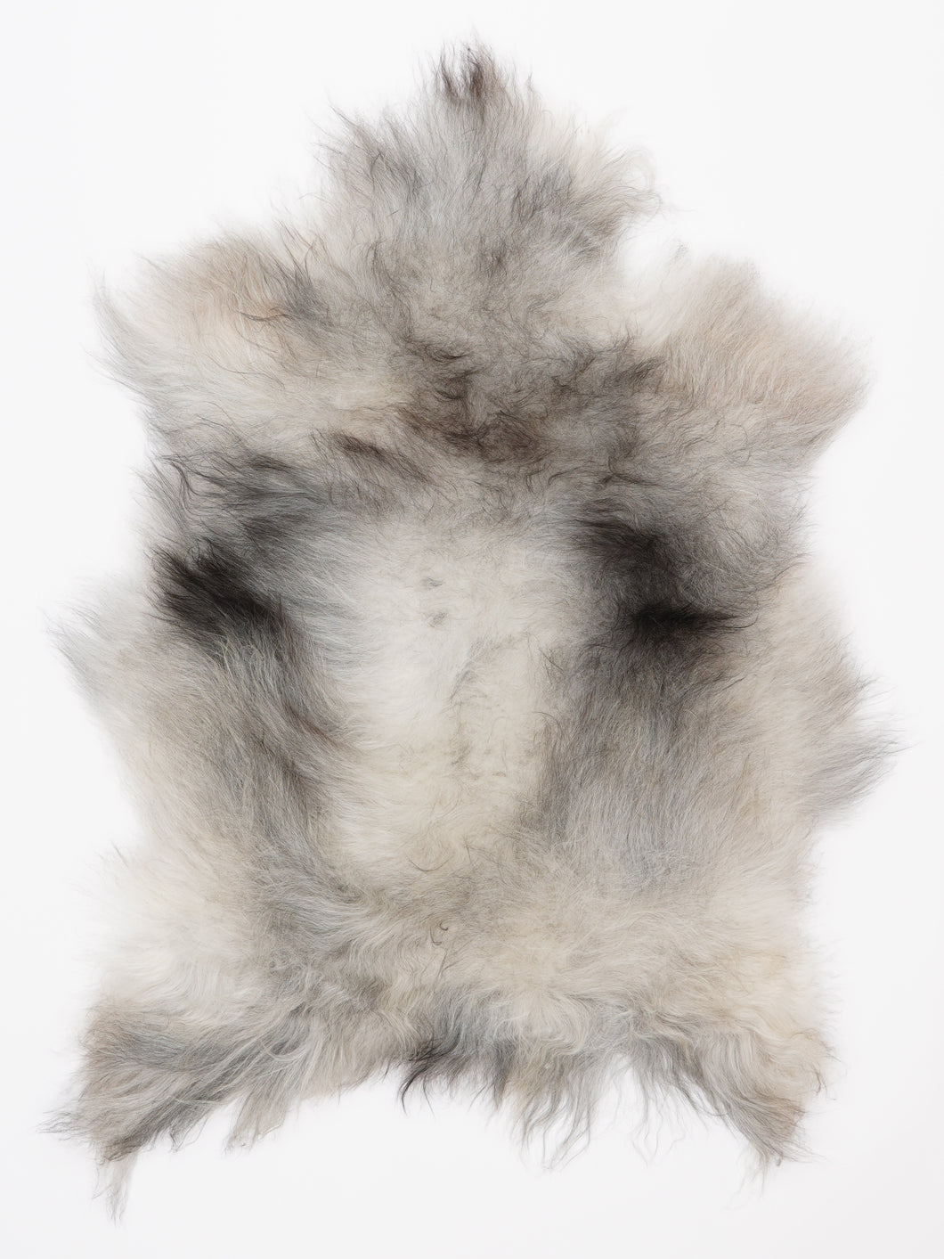 Islandiškas avikailis M