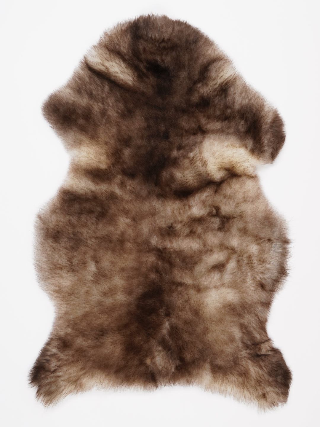 Įvairiaspalvis avikailis L