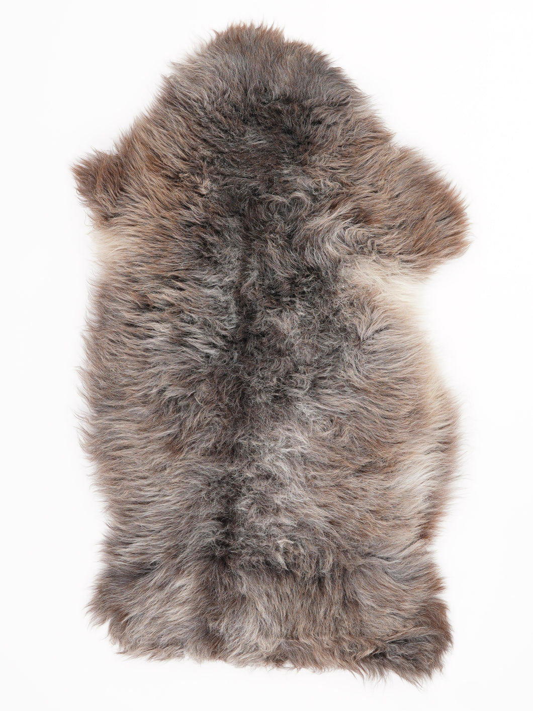 Įvairiaspalvis avikailis M