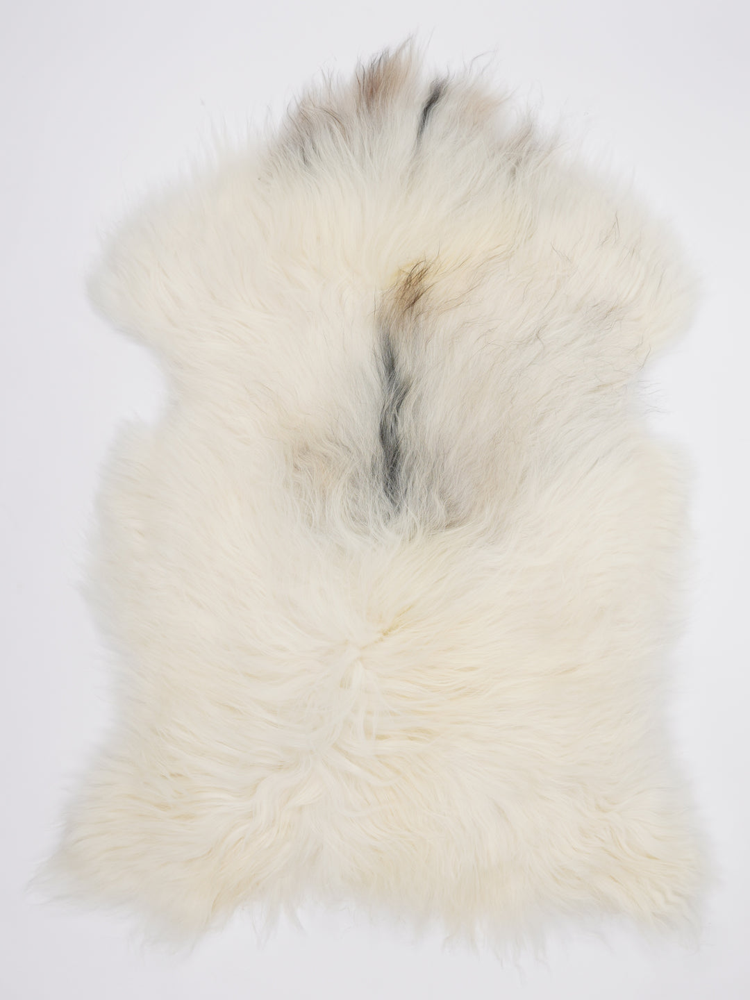 Islandiškas avikailis L