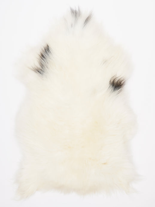 Islandiškas avikailis L