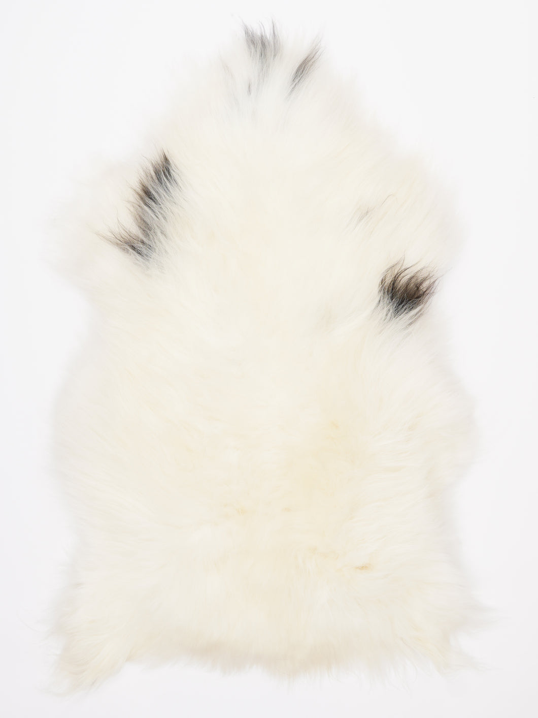 Islandiškas avikailis L