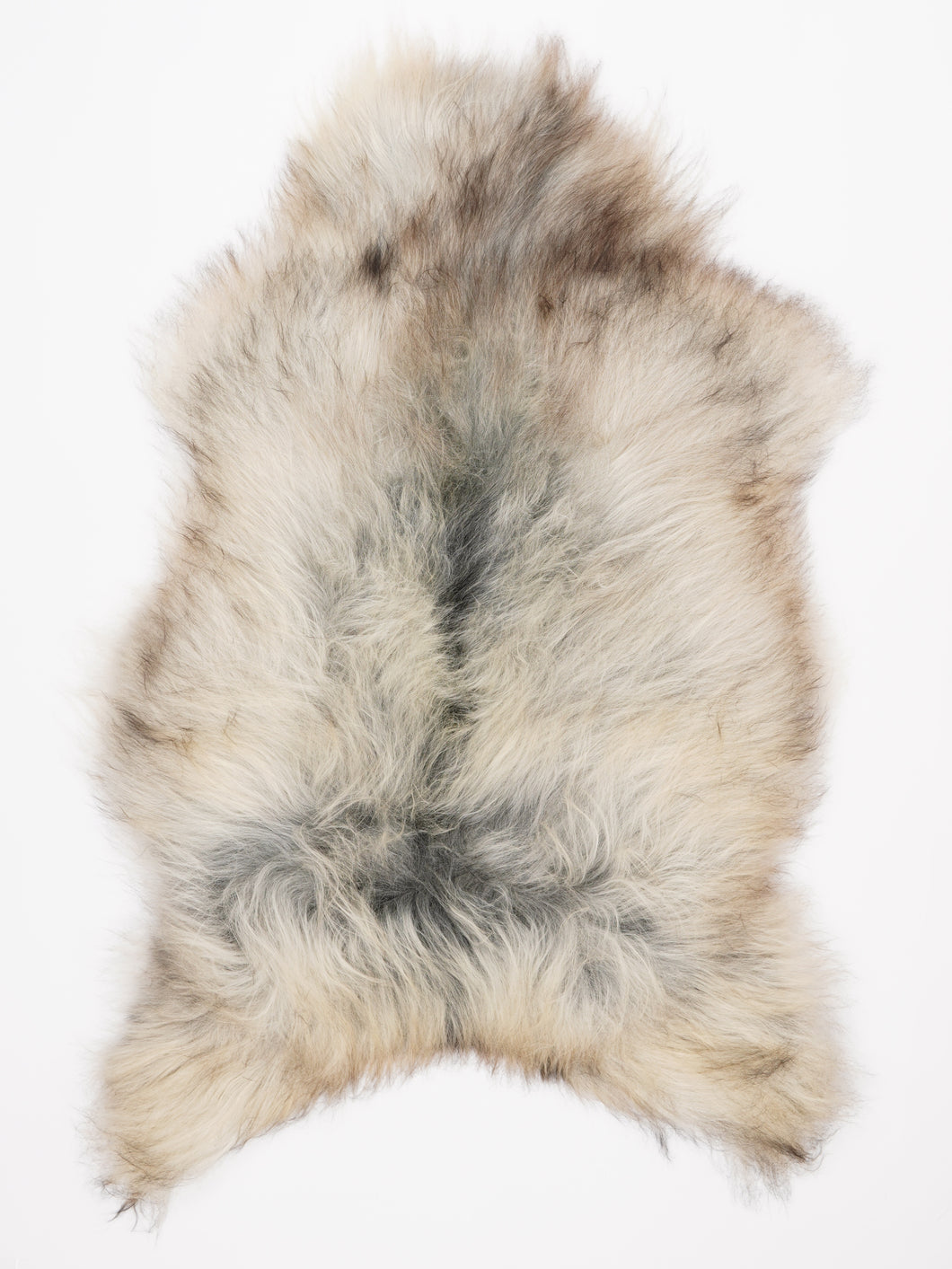 Islandiškas avikailis XL