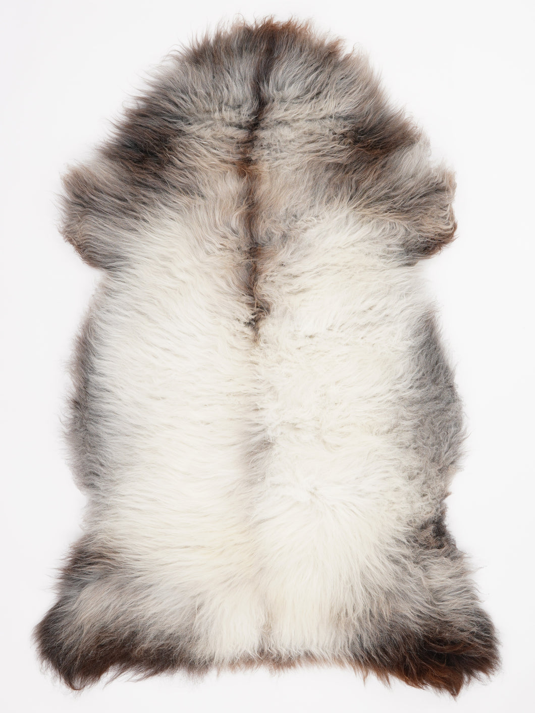 Įvairiaspalvis avikailis XL