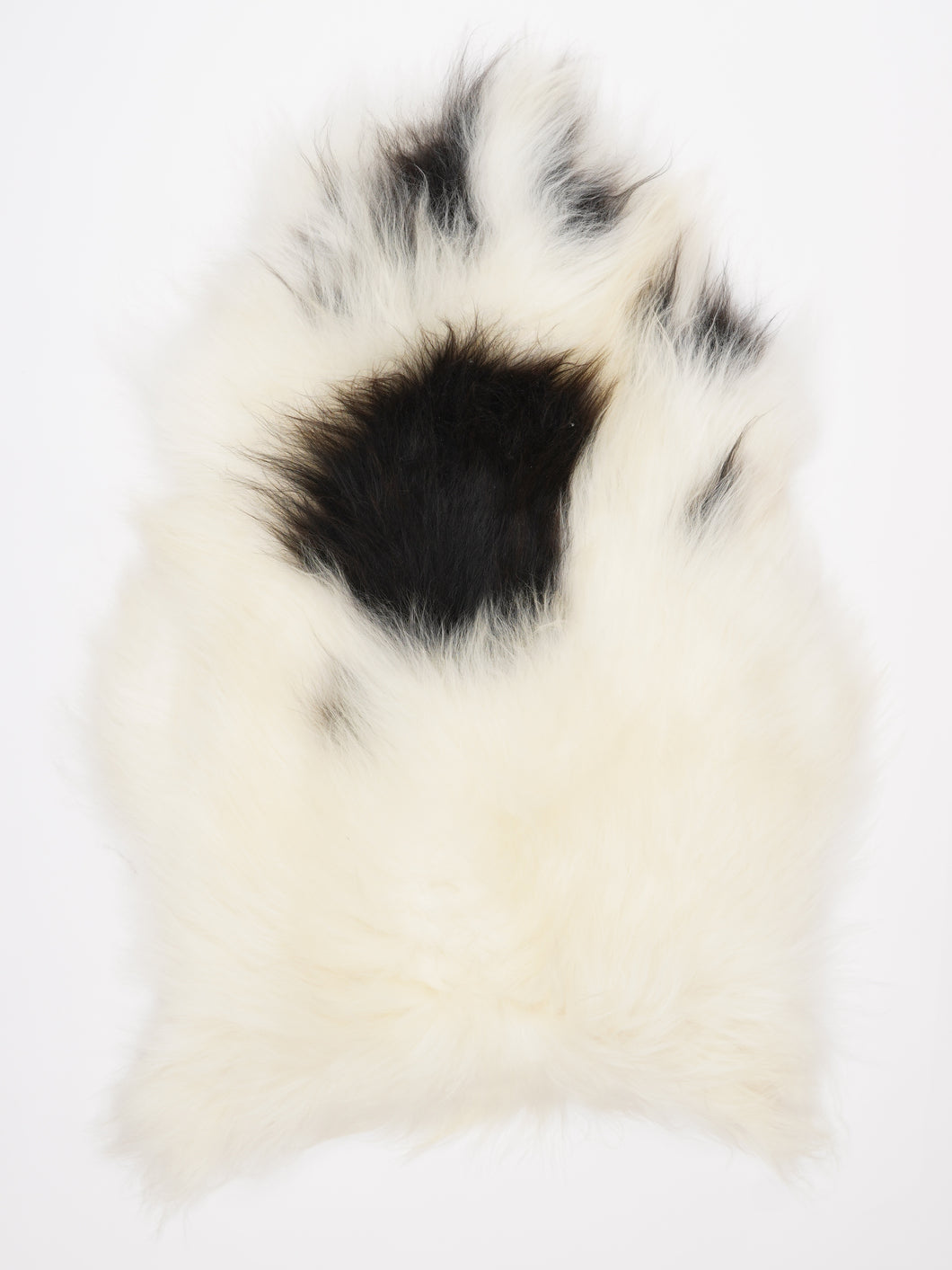 Islandiškas avikailis XL