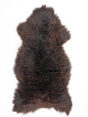 Daudzkrāsaina aitāda XL