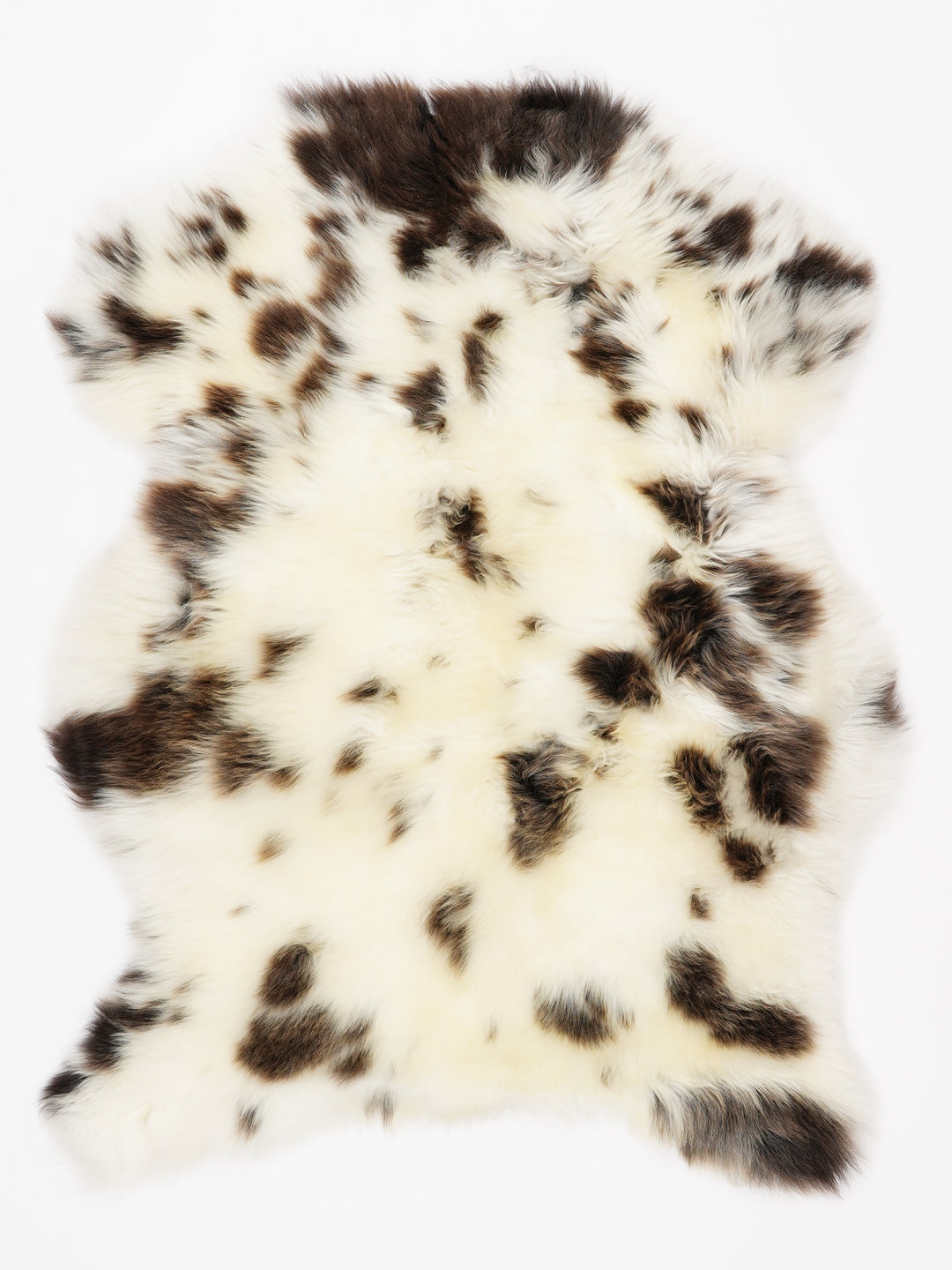 Įvairiaspalvis avikailis S