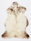 Daudzkrāsaina aitāda M