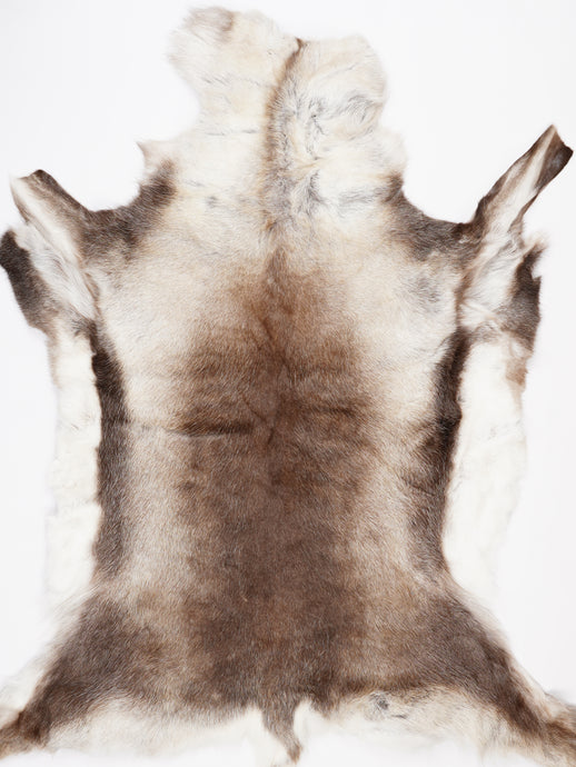 Šiaurinio elnio kailis XXXXL