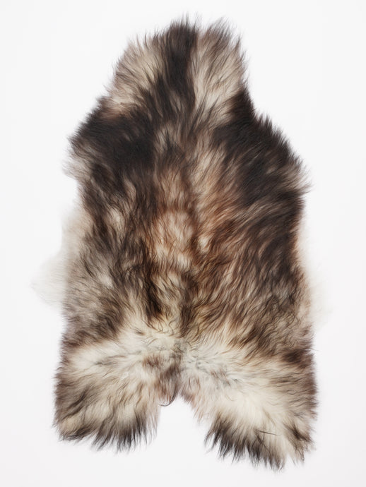 Pilkas islandiškas avikailis XL