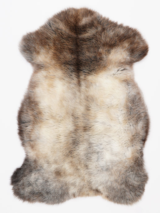 Įvairiaspalvis avikailis M