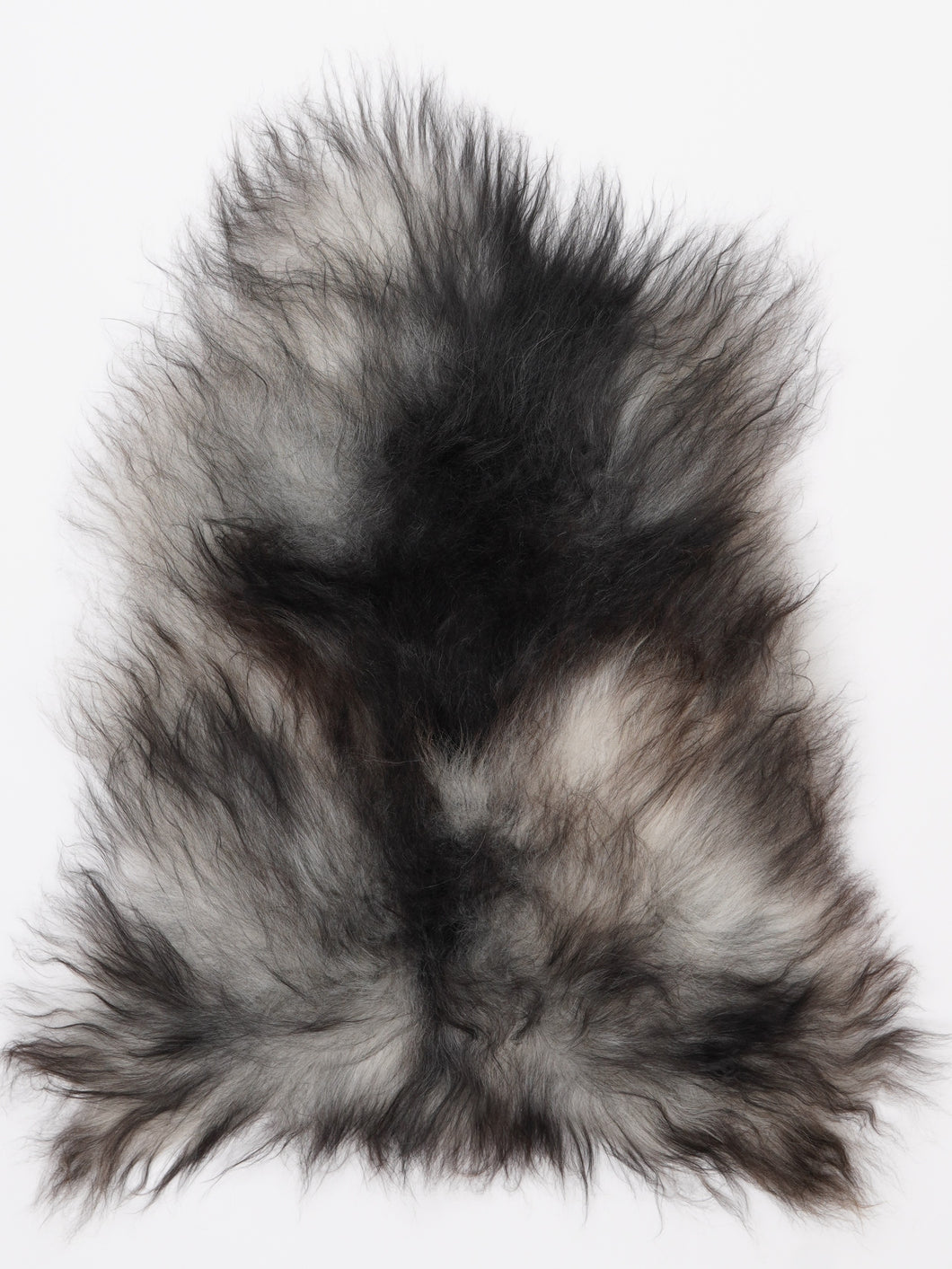 Islandiškas avikailis S